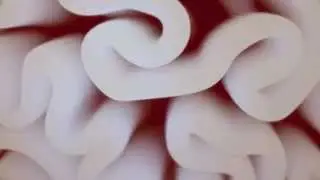 Medical Animation - Vessel Studios