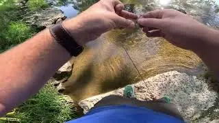 Охота на бурую форель в мелководном ручье в Пенсильвании! Ручей Какусинг