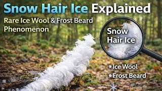 Snow Hair Ice Explained | Rare Ice Wool & Frost Beard Phenomenon