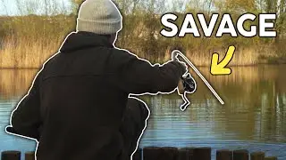 Catching F1-Carp on the Method Feeder🍃