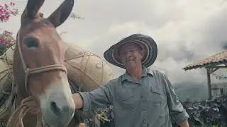 Club Coffee Annual Holiday Video - 2022