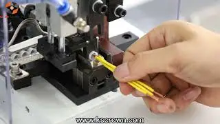 Closed End Nylon Crimp Caps Crimping Machine WL-ZDP03-CAP - Suzhou Crown