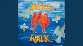 Camel Walk