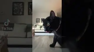 #fuunnnnny￼￼. #￼😂😂