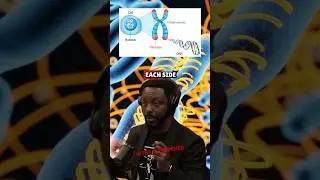 Создала ли генетическая модификация людей 200 000 лет назад? Билли Карсон о Джо Рогане