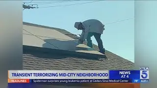 Transient causes tens of thousands in damage to Mid-City neighborhood, leaving Angelenos on edge