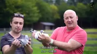 PIPA TV: Marc De Cock (BE)