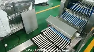 SAVOIARDI Biscuits Machine,Grissini Machine ,Breadsticks Machine, Pocky sticks machine #bakery