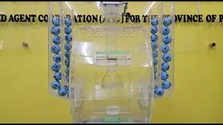 STL PAMPANGA RESULT TODAY February 06 2025 2nd LIVE DRAW