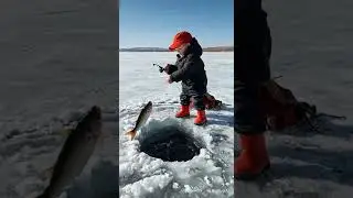 Little Fisherman, Big Fisherman! 🎣🐟 #wildlife #winterfishing