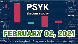 $PSYK Shroom stocks Feb 02 2021