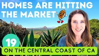 Searching for a Home? 19 New Central California Coast Listings Just Hit! 🔥