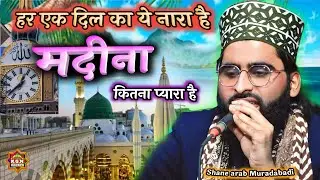 हर एक दिल का ये नारा है मदीना कितना प्यारा है | Shane Arab Muradabadi New Naat Sharif | Karari jalsa