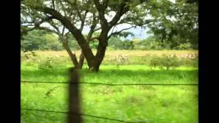 CONTRAPUNTEO INDIGENA - Plutarco Baron