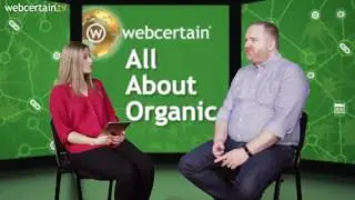 Top Tips For Implementing AMP - Accelerated Mobile Pages