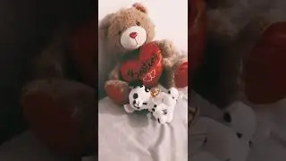 Getting my stuffys ready for bed!