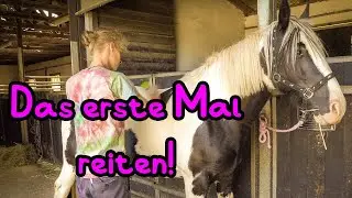 Er reitet das ERSTE Mal! 🦄 Tinker Mitch ist das perfekte Einsteigerpferd