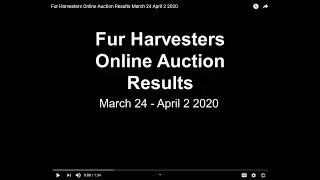 Fur Harvesters Online Auction Results March 24  April 2 2020