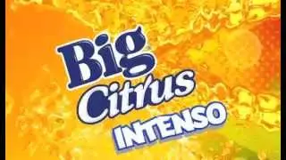 BIG CITRUS - MADAGASCAR 3