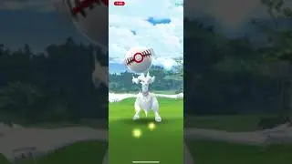 Pok&eacute;mon Go - Level 5 Raid - Reshiram