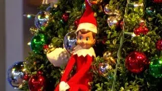 Elf on the Shelf Clarification; Seattle Zoo's Lion Cubs: 'GMA' Pop News Heat Index