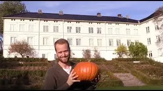 DIY: Skummelt gresskar p&aring; 1 2 3!