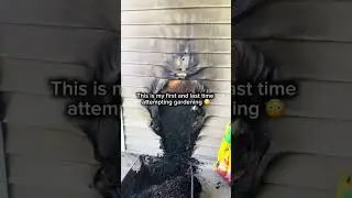 Plant produces fire 😨