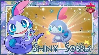 (Galar Quest #2} LIVE!! Shiny Sobble after 668 Eggs on Pokemon Shield!