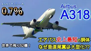 【解説付き】エアバスが開発した最小の飛行機が羽田空港に！珍しいA318、どんな飛行機？