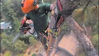 Arborist Speed Lining Principles Part  2