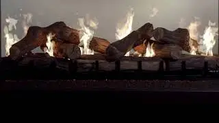 Montigo BF84ST - BF See Through Fireplace Feature