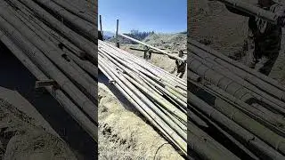 From Wheel to Truck: The Bamboo's Balancing Act