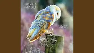 Ghost Owl