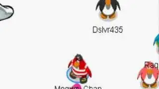 My Name is Patch the Pirate - Club Penguin