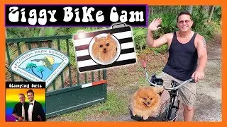 RV Living with Dogs: ZIGGY CAM - Paynes Prairie State Park - Glamping Guys: RV Hacks, Tips, & Tricks