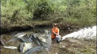 Hunting wild fish  | Unique fishing - Pump fishing technique - Survival skills - Catch a lot of fish