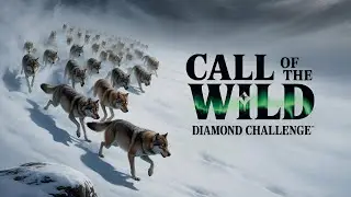 CALL OF THE WILD!  BANG BANG - THE GOOD THE BAD AND THE UGLY!