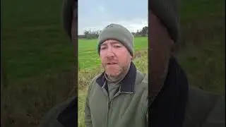Фашистская комиссия