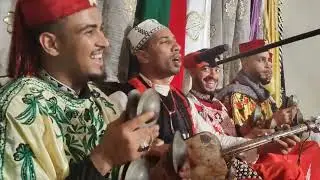 Maalem Mehdi El Ghanbo - L3fou - Hmadi - #music #Gnawa #تيك_توك #tradition