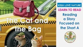 Reading Practice for Kindergarten: The Cat and the Bag | The Story Focused on the Short 