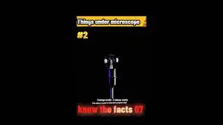 गजब के Microscopic Videos 😱 | Things Only You Can See Only Under Microscope&nbsp;#shorts #facts