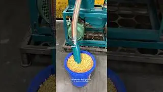 From Field to Flour: The Corn Revolution