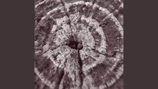 Cobra