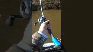 Magdraft megasnag! #bassfishing #largemouthbass #magdraft #megabass #swimbait #laydown #snag
