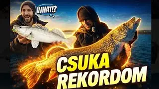 ELKÉPESZTŐ! 9db csuka + 11db süllő és egy 9 kg-os rekordcsuka 😱🎣 | Balaton pergetés.