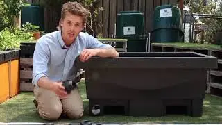 Foodcube Setup - Replas