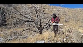 Lil Tree Cuttin' Firewood 