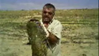 balık&ccedil;ı cum baba