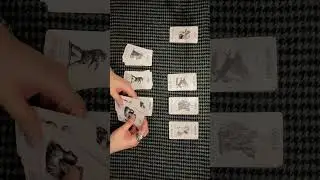ASMR Occult Tarot: Card number 1-20