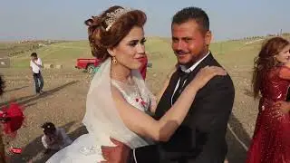 أجمل حفلات كوباني  محمد و رويدة